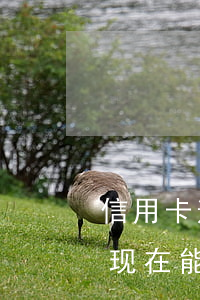 信用卡逾期半年后还能刷卡吗(半年前有逾期,现在能办信用卡)