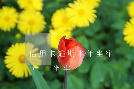 信用卡逾期半年坐牢-幾萬的信用卡逾期半年會坐牢嗎?