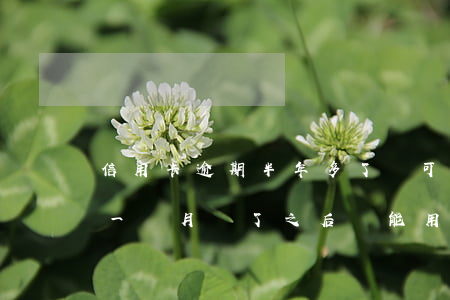 信用卡逾期半年多了還可以嗎(我信用卡逾期一個月,還了之后還能用嗎)