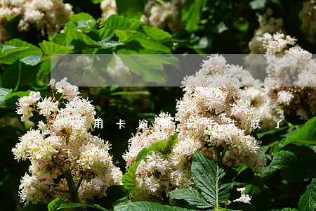 信用卡逾期半年失联了