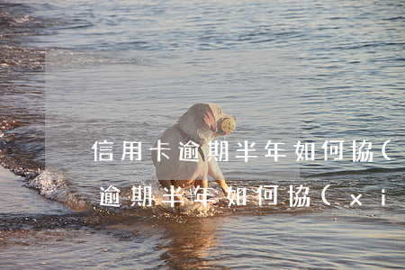 信用卡逾期半年如何協(xié)商(信用卡逾期半年如何協(xié)商還款)