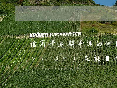 信用卡逾期半年如何緩解 半年前有逾期,現(xiàn)在能辦信用卡