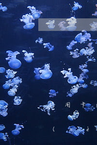 信用卡逾期半年屁事沒(méi)有(半年內(nèi)沒(méi)有逾期,可以申請(qǐng)信用卡嗎)