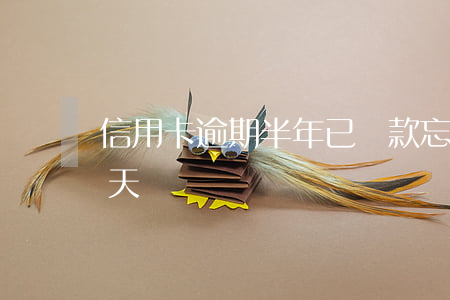 信用卡逾期半年已還款(忘記還信用卡逾期一天)