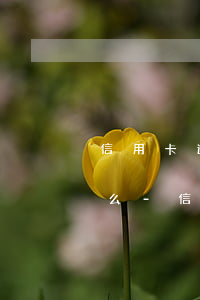 信用卡逾期半年征信報(bào)告顯示什么-信用卡逾期半年征信報(bào)告顯示什么信息