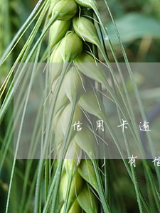 信用卡逾期半年征信怎么處理-有沒(méi)有信用卡逾期半年的