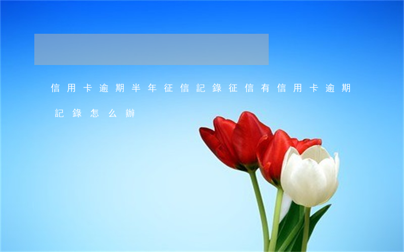 信用卡逾期半年征信記錄(征信有信用卡逾期記錄怎么辦)