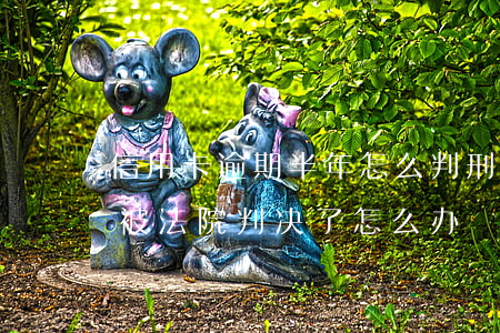 信用卡逾期半年怎么判刑(信用卡逾期了已经被法院判决了怎么办)