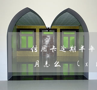 信用卡逾期半年怎么溝通(信用卡逾期超3個月怎么協(xié)商)