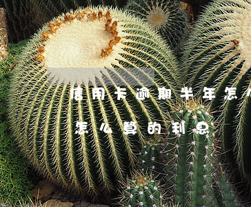 信用卡逾期半年怎么算的-信用卡逾期半年怎么算的利息