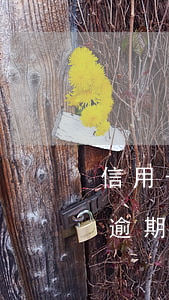 信用卡逾期半年怎么能做二次分期-信用卡逾期半年怎么能做二次分期還款