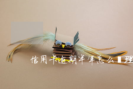 信用卡 逾期半年怎么處理