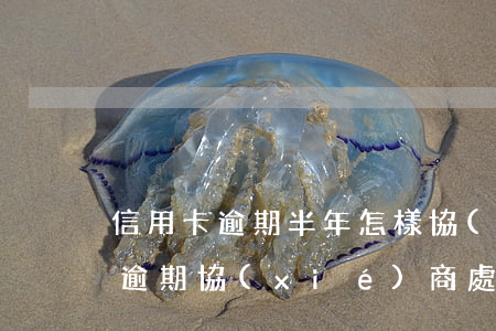 信用卡逾期半年怎樣協(xié)商(信用卡逾期協(xié)商處理方法)