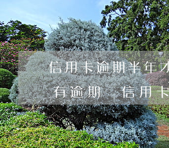 信用卡逾期半年才立案-半年內(nèi)有逾期辦信用卡