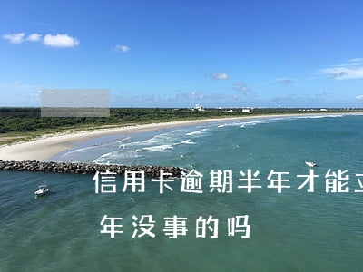 信用卡逾期半年才能立案吗(有信用卡逾期一年没事的吗)