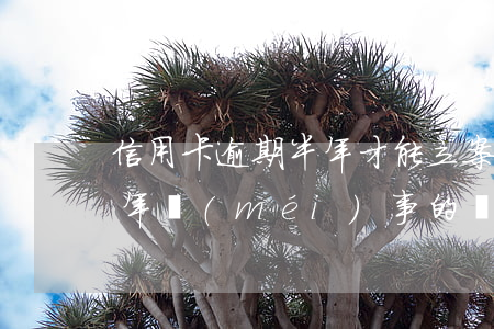 信用卡逾期半年才能立案嗎(有信用卡逾期一年沒(méi)事的嗎)