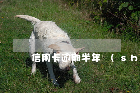 信用卡逾期半年數(shù)據(jù)