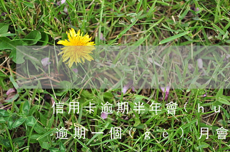 信用卡逾期半年會(huì)上征信(信用社逾期一個(gè)月會(huì)上征信不)