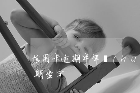 信用卡逾期半年會(huì)坐牢(信用卡 逾期 坐牢)