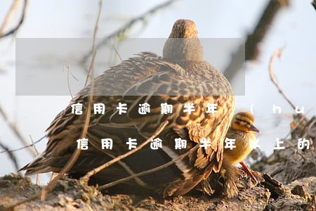 信用卡逾期半年會(huì)封卡嗎(有沒有信用卡逾期半年以上的)
