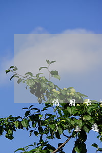 信用卡逾期半年會(huì)網(wǎng)上通緝嗎(欠信用卡會(huì)網(wǎng)上通緝嗎)