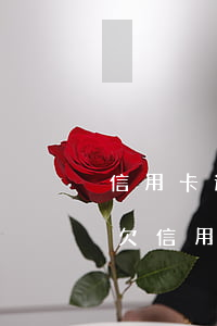 信用卡逾期半年會(huì)被上門追賬嗎(欠信用卡逾期多久會(huì)有人上門)