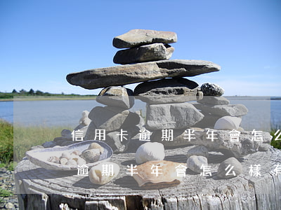 信用卡逾期半年會怎么樣有釋放證-信用卡逾期半年會怎么樣有釋放證明嗎