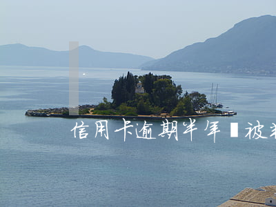 信用卡逾期半年會被判刑