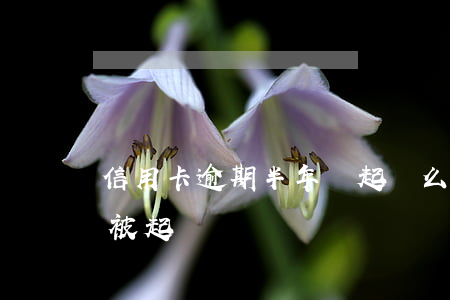 信用卡逾期半年會起訴么(信用卡逾期半年會被起訴嗎)