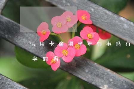 信用卡逾期半年有事吗(有信用卡逾期一年没事的吗)