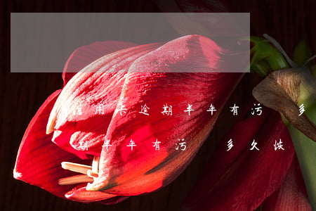 信用卡逾期半年有污點多久恢復-信用卡逾期半年有污點多久恢復正常
