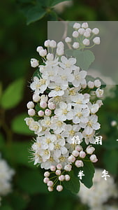 信用卡逾期半年有積分怎么辦理（信用卡逾期半年有積分怎么辦）
