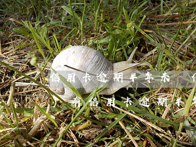信用卡逾期半年未嘗信貸總額 有沒(méi)有信用卡逾期半年的