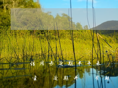 信用卡逾期半年未嘗總額(信用卡發(fā)生過逾期并沒有超過90天)