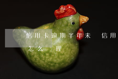 信用卡逾期半年未還(信用卡逾期半年未還款怎么處理)