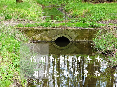 信用卡逾期半年未還會(huì)坐牢嗎(信用卡逾期半年未還會(huì)坐牢嗎貼吧)