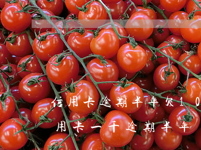 信用卡逾期半年欠10萬(wàn)-欠信用卡一千逾期半年