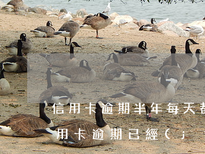 信用卡逾期半年每天都在還款(2017年信用卡逾期已經(jīng)還清了兩年后)