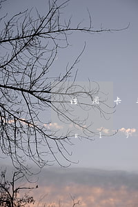 信用卡逾期半年沒(méi)接電話會(huì)怎么樣-信用卡逾期半年沒(méi)接電話會(huì)怎么樣嗎