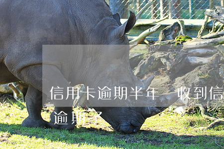 信用卡逾期半年沒收到信息了(沒注意信用卡逾期了)