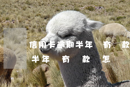 信用卡逾期半年沒有還款會怎樣(信用卡逾期半年沒有還款會怎樣處理)