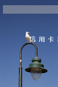 信用卡逾期半年沒錢(信用卡逾期半年沒錢還)