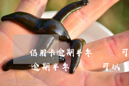 信用卡逾期半年沒錢還可以辦分期-信用卡逾期半年沒錢還可以辦分期還款嗎