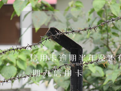 信用卡逾期半年没还有多少人-半年内有逾期办信用卡