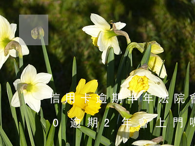信用卡逾期半年法院會上門嗎(信用卡5000逾期2年會上門嗎)