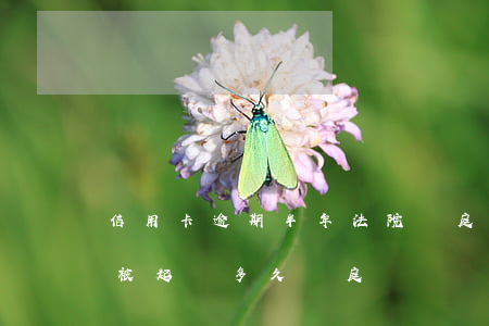 信用卡逾期半年法院開庭要去嗎-欠信用卡被起訴多久開庭