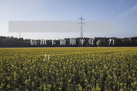 信用卡逾期半年無力償還-信用卡逾期半年無力償還