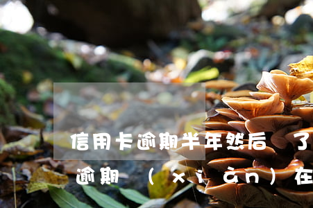 信用卡逾期半年然后還了還能用嗎(半年前有逾期,現(xiàn)在能辦信用卡)