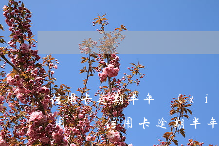 信用卡逾期半年現(xiàn)在還了還能用嗎-信用卡逾期半年現(xiàn)在還了還能用嗎有影響嗎
