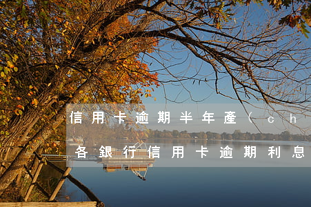 信用卡逾期半年產(chǎn)生高額利息(各銀行信用卡逾期利息)